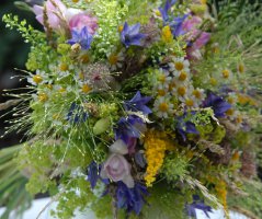 Svatba na Levém Hradci