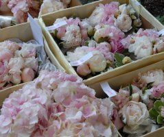 Svatba u zříceniny hradu Zvířetice