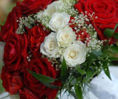 Svatba na Červeném hrádku