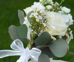 Svatba v lososových tónech