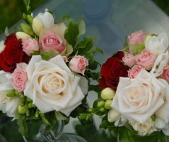 Svatba ve Vrtbovské zahradě