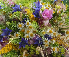 Svatba na Levém Hradci