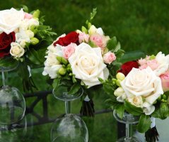 Svatba ve Vrtbovské zahradě