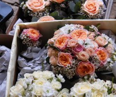 Svatba v lososových tónech