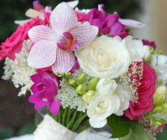 Svatba v Průhonickém parku