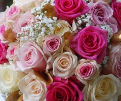 Svatba v penzionu U farmáře