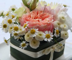 Svatba v Panenském Týnci