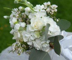 Svatba v lososových tónech