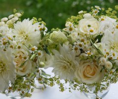 Svatba v Panenském Týnci