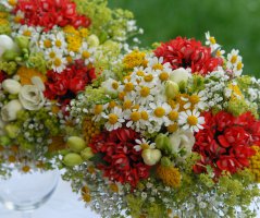 Svatba v Jeseníkách