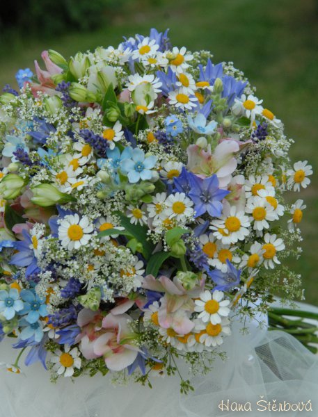 Luční svatba ve Dvoře Hoffmeister