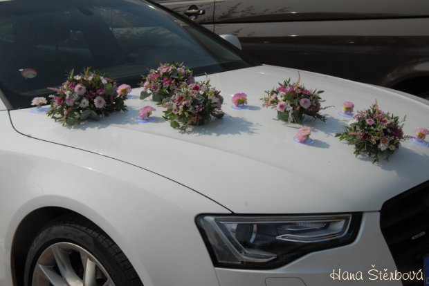 Svatba v Horse Parku