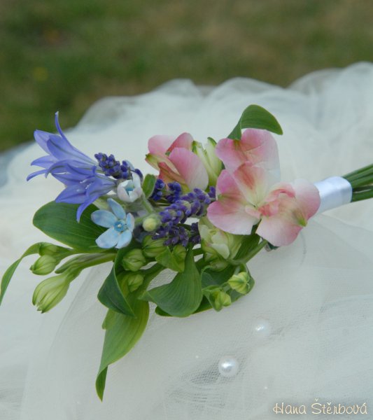 Luční svatba ve Dvoře Hoffmeister