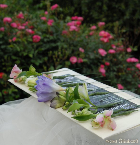 Luční svatba ve Dvoře Hoffmeister