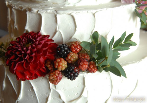 Svatba v Horse Parku