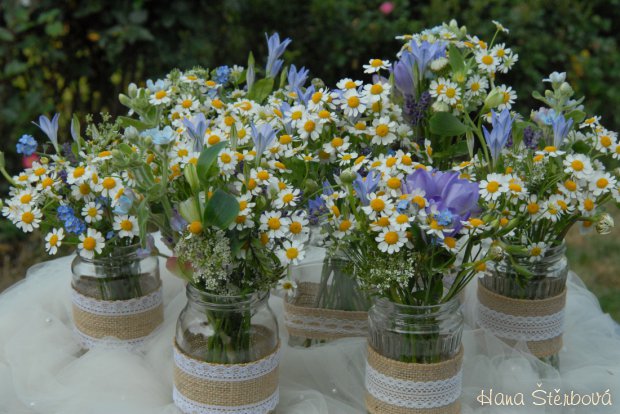 Luční svatba ve Dvoře Hoffmeister