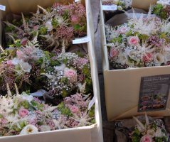 Svatba na Zámeku Nelahozeves