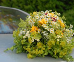 Luční svatba v Grébovce