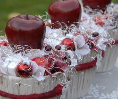 Naše dekorace pro vánoce 2017