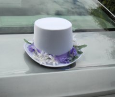 Svatba na zámku Veltrusy