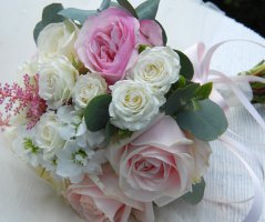 Svatba na Dobříšském zámku