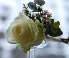 Vánoční svatba v Průhonicích