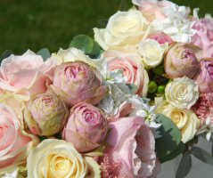 Svatba na Dobříšském zámku