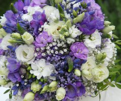 Svatba na zámku Veltrusy