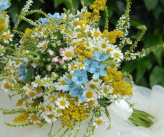 Svatba v kostele Neratov