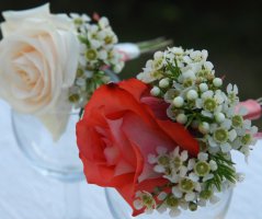 Svatba v barvě korálu