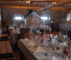 Svatba v Horse Parku