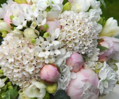 Bledě růžová svatba