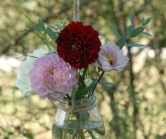 Svatba v Horse Parku