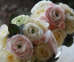 Villa Richter - Praha