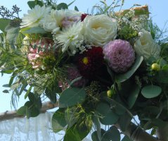 Svatba v Horse Parku