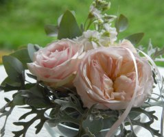 Svatba v Green Valley