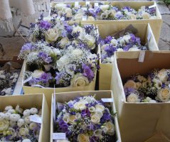 Svatba na statku Blažejovive