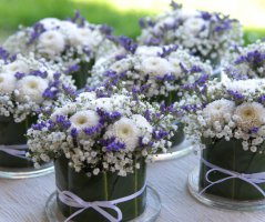 Svatba na statku Blažejovive