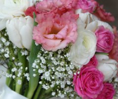 Pavilon Grébovka s unikátní historickou vinicí