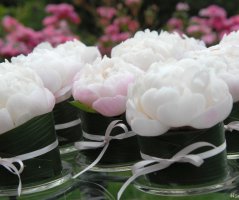 Japonská zahrada v Troji