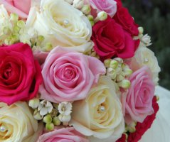 Romantika v St.Havel