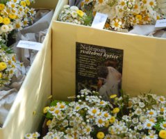 Letní svatba na louce