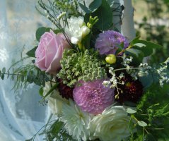 Svatba v Horse Parku