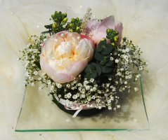 Japonská zahrada v Troji