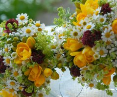 Luční svatba v Grébovce