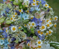 Luční svatba ve Dvoře Hoffmeister