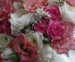 Pavilon Grébovka s unikátní historickou vinicí