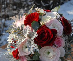 Vánoční svatba v Průhonicích