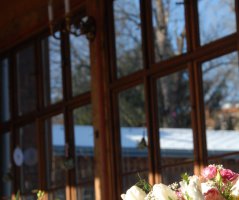 Pavilon Grébovka s unikátní historickou vinicí