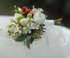 Svatba v Horse Parku